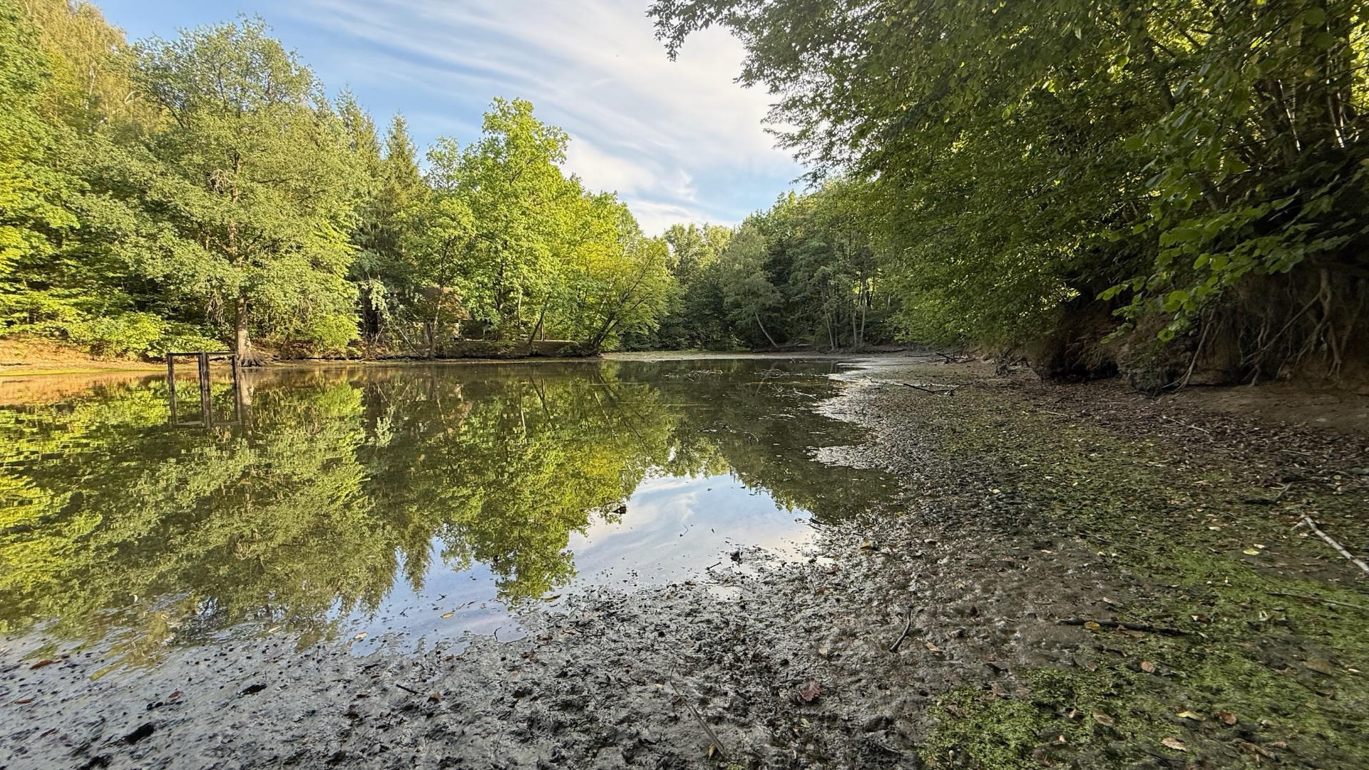 Revitalizace rybníka Ve Struhách